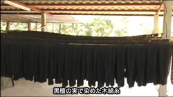 黒檀の実で染めた木綿糸